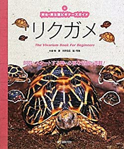 リクガメ―爬虫・両生類ビギナーズガイド(中古品)