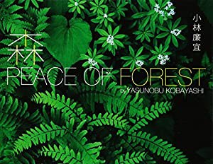 森 PEACE OF FOREST(中古品)