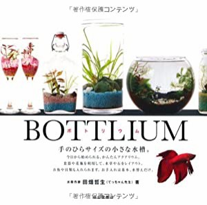 BOTTLIUM ボトリウム-手のひらサイズの小さな水槽-(中古品)