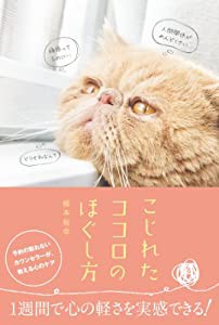 こじれたココロのほぐし方(中古品)