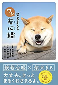 柴犬まるのワン若心経(中古品)