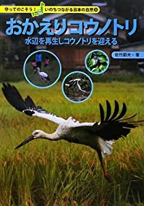 おかえりコウノトリ―水辺を再生しコウノトリを迎える (守ってのこそう!いのちつながる日本の自然)(中古品)