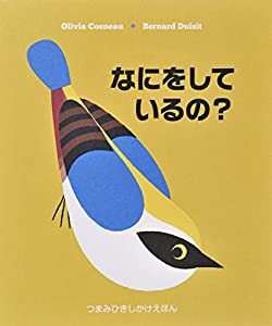 なにをしているの? (つまみひきしかけえほん)(中古品)