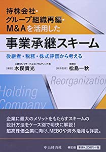 持株会社・グループ組織再編・M&Aを活用した事業承継スキーム(中古品)