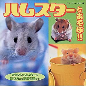 ハムスターとあそぼ!!(中古品)