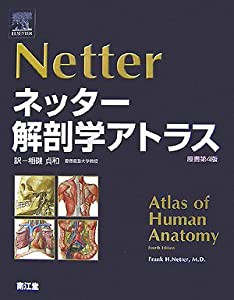 ネッター解剖学アトラス 原書第4版(中古品)