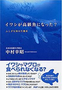 イワシが高級魚になった?—ふしぎな海の生態系(中古品)