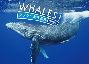 クジラ！　大写真集(中古品)