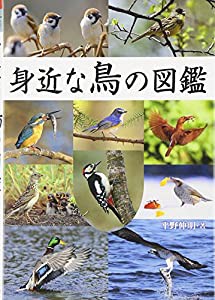 身近な鳥の図鑑(中古品)