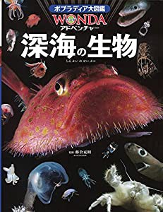 深海の生物 (WONDAアドベンチャー)(中古品)