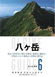 ヤマケイ アルペンガイド6 八ヶ岳 (ヤマケイアルペンガイド)(中古品)