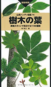 樹木の葉 実物スキャンで見分ける1100種類 (山溪ハンディ図鑑)(中古品)