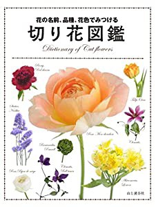 花の名前、品種、花色でみつける 切り花図鑑(中古品)