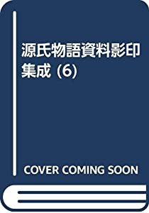 源氏物語資料影印集成 6 明星抄 6ー10(中古品)