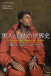 黒人と白人の世界史――「人種」はいかにつくられてきたか (世界人権問題叢書)(中古品)