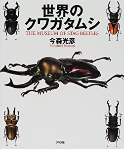 世界のクワガタムシ(中古品)