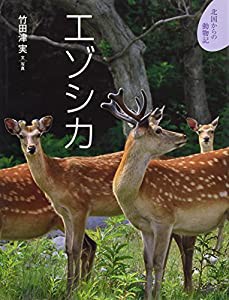 エゾシカ (北国からの動物記)(中古品)