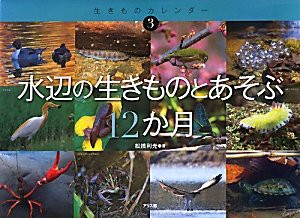 水辺の生きものとあそぶ12か月 (生きものカレンダー)(中古品)