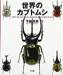 世界のカブトムシ(中古品)