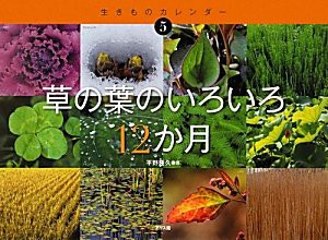 草の葉のいろいろ12か月 (生きものカレンダー)(中古品)