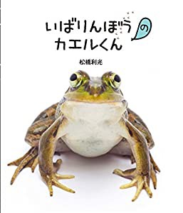 こわがりのガマくんといばりんぼうのカエルくん(中古品)