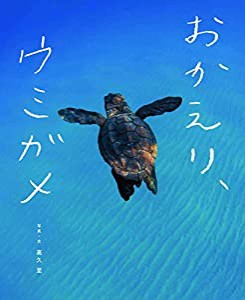 おかえり、ウミガメ(中古品)