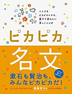 ピカピカ名文(中古品)