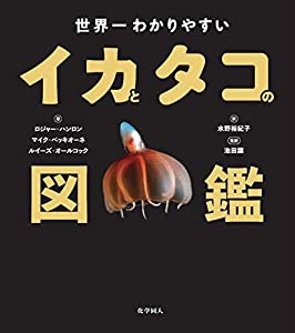 世界一わかりやすいイカとタコの図鑑(中古品)