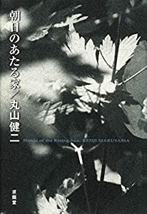 朝日のあたる家(中古品)