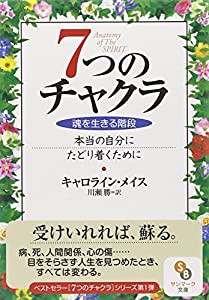 7つのチャクラ (サンマーク文庫)(中古品)