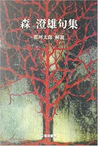 森澄雄句集 (芸林21世紀文庫)(中古品)