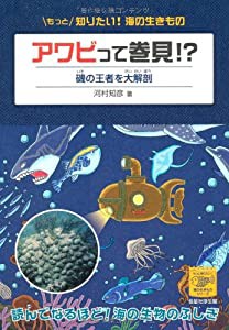 アワビって巻貝!?-磯の王者を大解剖 (もっと知りたい! 海の生きものシリーズ)(中古品)