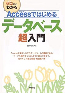 Accessではじめる データベース超入門(中古品)