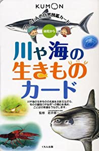 川や海の生きものカード (くもんの自然図鑑カード)(中古品)