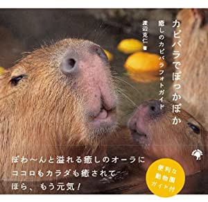 カピバラでぽっかぽか~癒しのカピバラフォトガイド~(中古品)