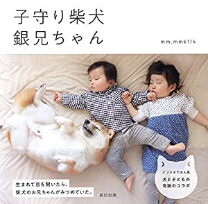 子守り柴犬 銀兄ちゃん(中古品)