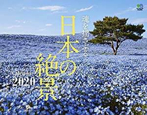 魂を揺さぶる 日本の絶景カレンダー 壁掛け(2020) ([カレンダー])(中古品)