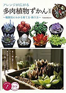 アレンジが広がる 多肉植物ずかん ~種類別にわかる育て方・飾り方~ 新版 (コツがわかる本!)(中古品)