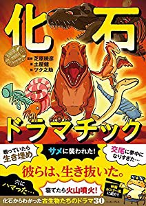 化石ドラマチック(中古品)