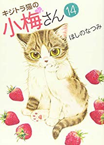 キジトラ猫の小梅さん 14巻 (ねこぱんちコミックス)(中古品)