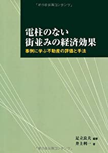 電柱のない街並みの経済効果(中古品)