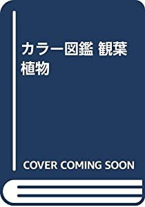 カラー図鑑 観葉植物(中古品)