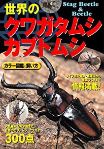 世界のクワガタムシ・カブトムシ―カラー図鑑&飼い方(中古品)