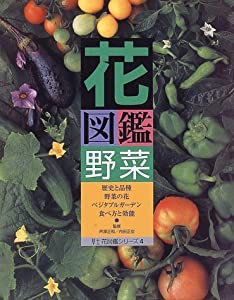 花図鑑 野菜 (草土 花図鑑シリーズ)(中古品)