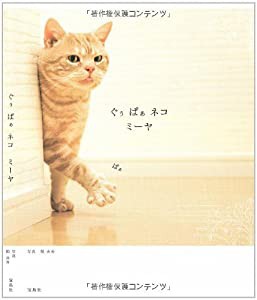 ぐぅぱぁネコ ミーヤ(中古品)