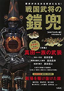 戦国武将の鎧兜(中古品)