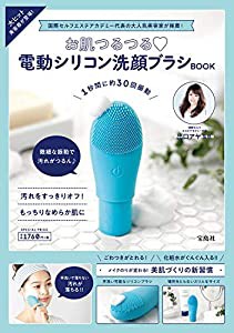 お肌つるつる 電動シリコン洗顔ブラシBOOK (バラエティ)(中古品)