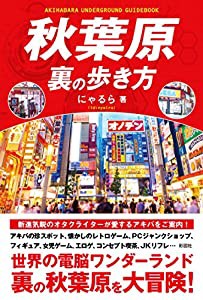 秋葉原 裏の歩き方(中古品)