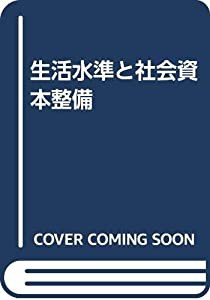 生活水準と社会資本整備(中古品)