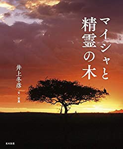 マイシャと精霊の木(中古品)